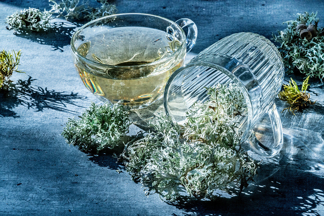Lichen herbal tea