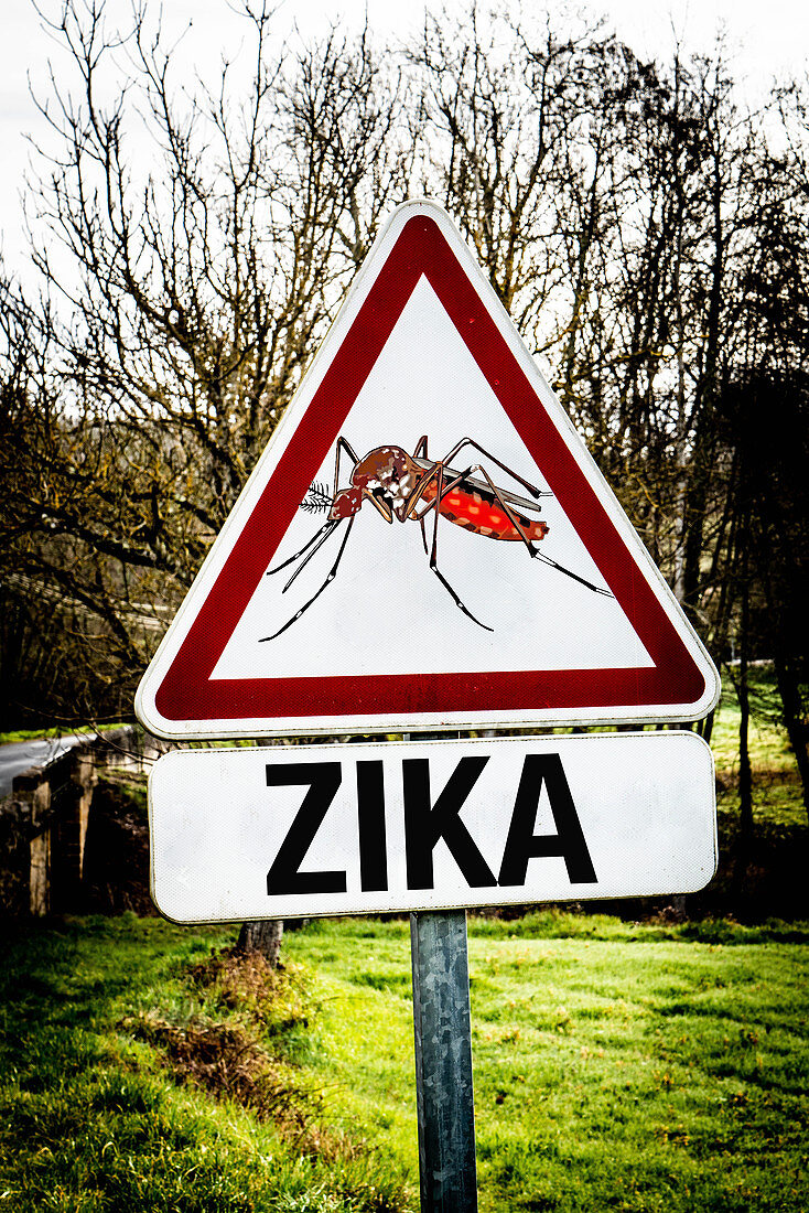 Warning sign for zika mosquito bites