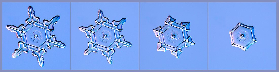 Snowflake melt sequence, light micrographs