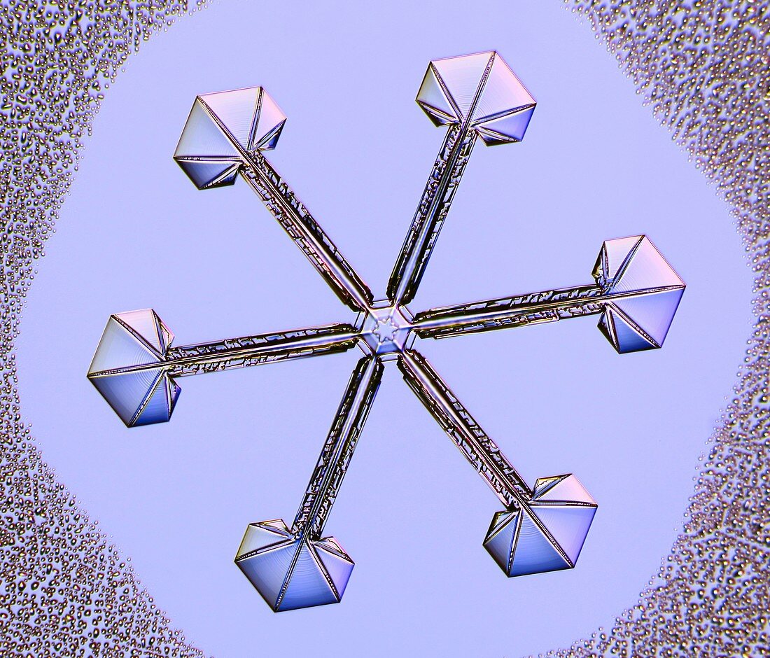Star and plate snowflake, light micrograph