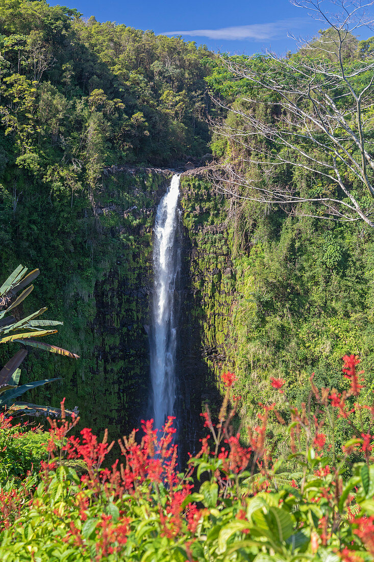 Akaka Falls, Hawaii