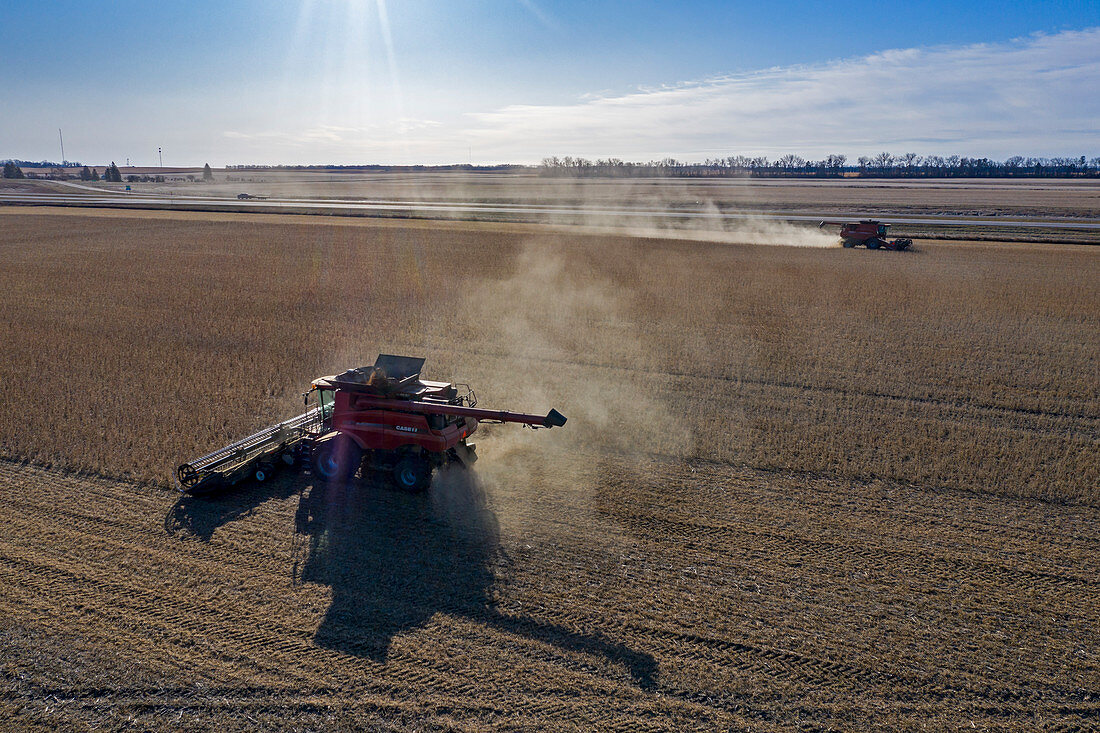 Soya bean harvest, North Dakota, USA