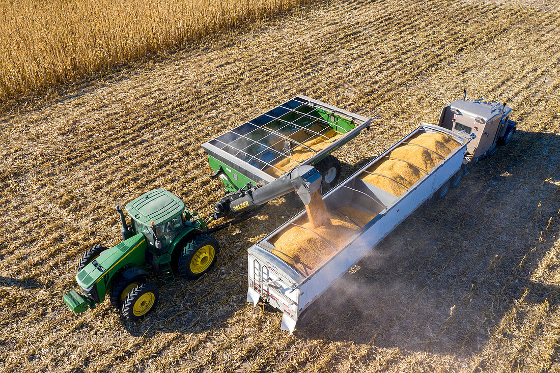 Corn harvest, Nebraska, USA