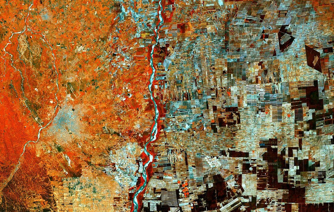 Deforestation in Bolivia, satellite image