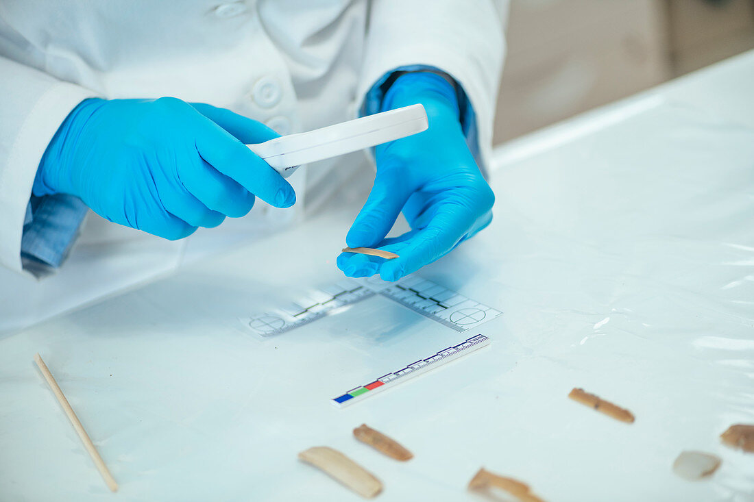 Archaeologist performing lithic analysis