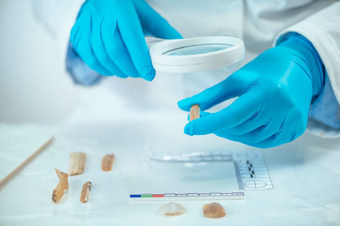 Archaeologist performing lithic analysis