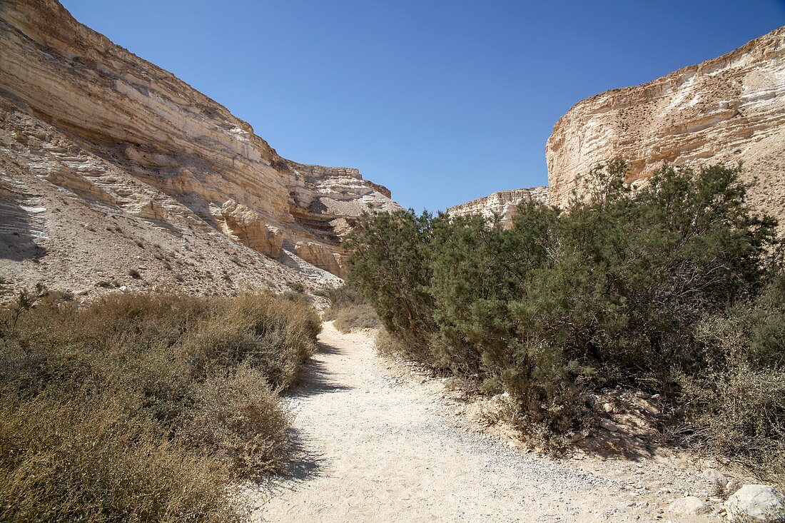 Dry desert river, Israel
