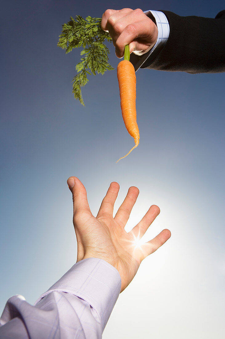 Reaching for a carrot