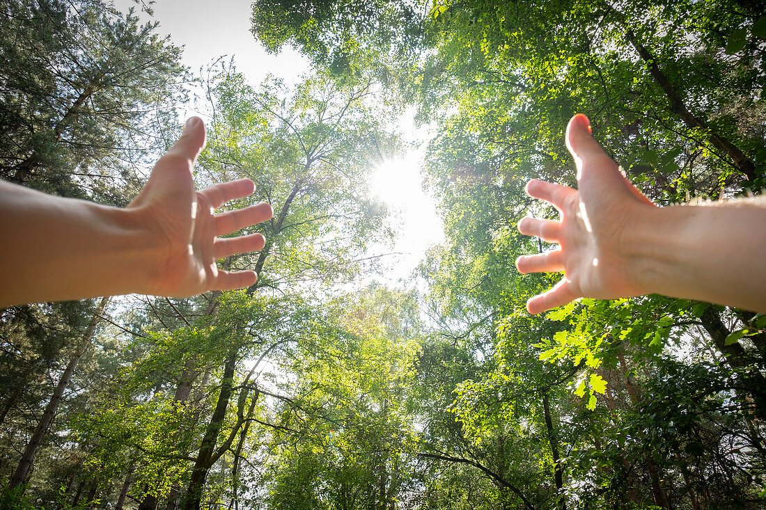 Outstretched arms in a forest