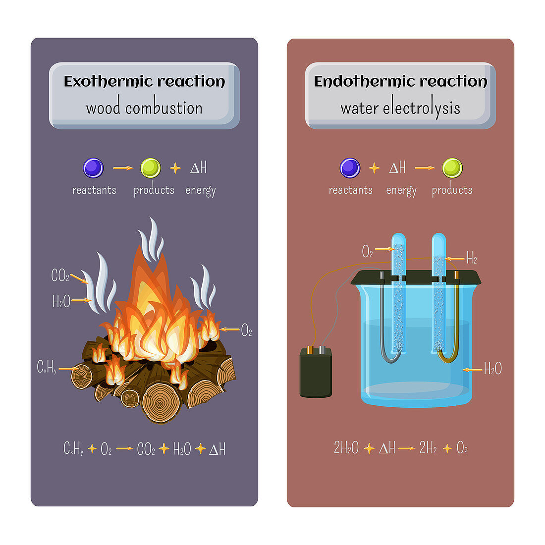 Exothermic and endothermic chemical reactions, illustration