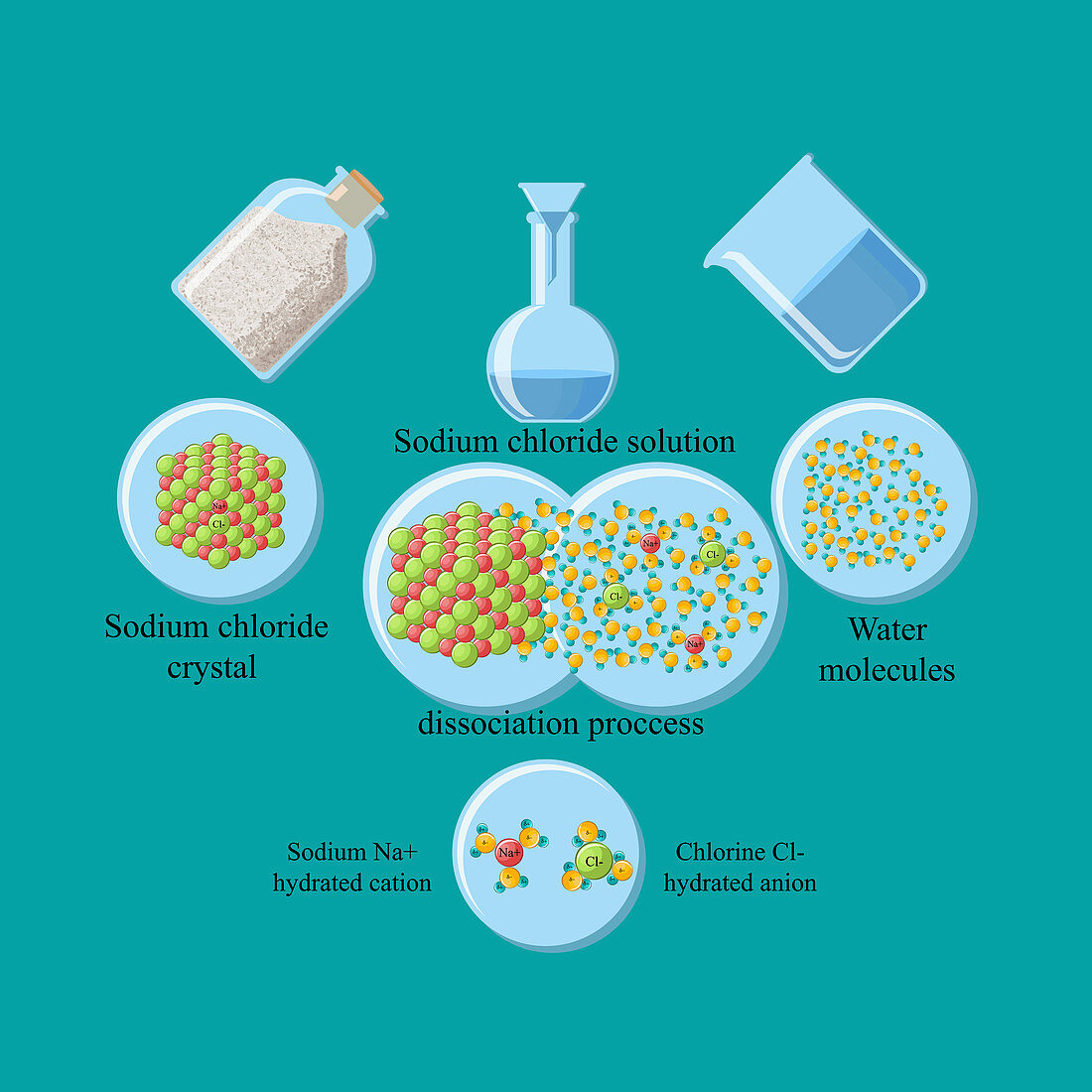 Dissociation of table salt in water, illustration