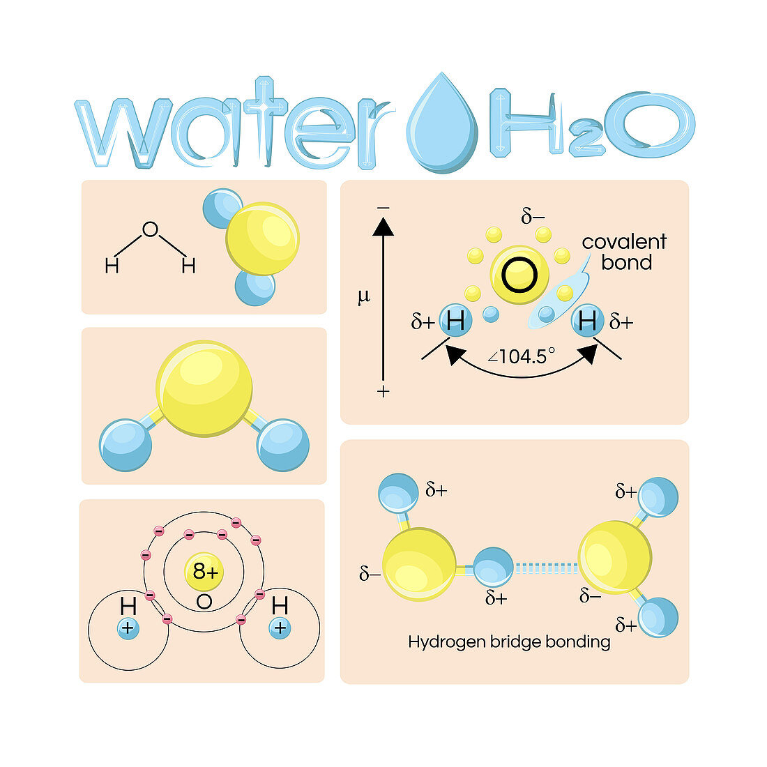 Water molecule structure, illustration