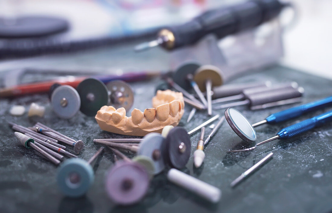 Dental prosthesis laboratory