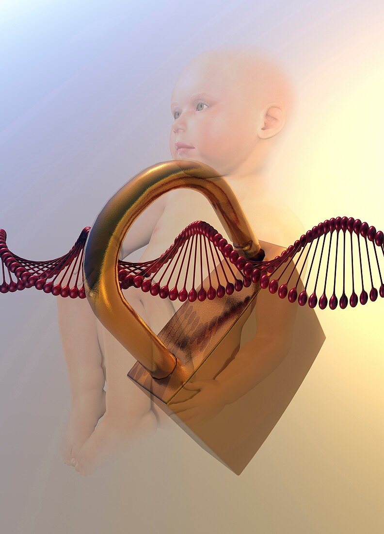 Baby, padlock and DNA, illustration