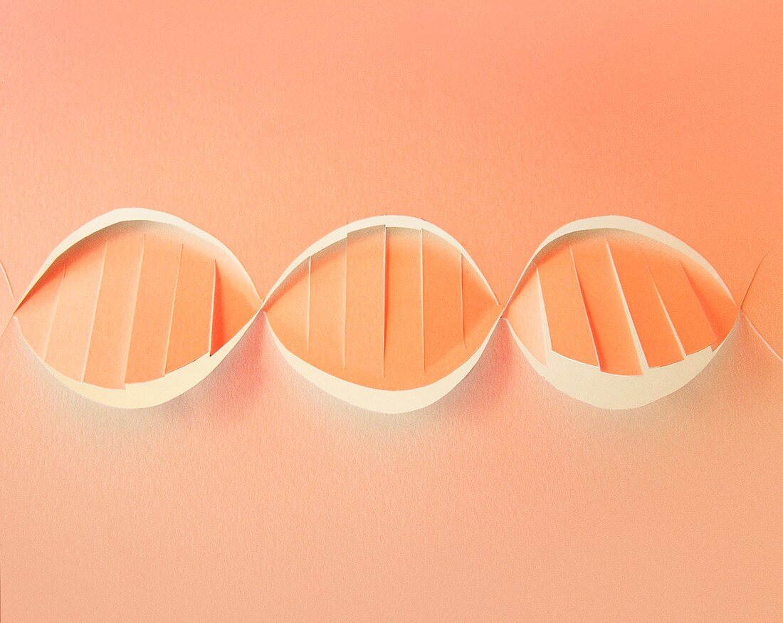 DNA molecule, conceptual image