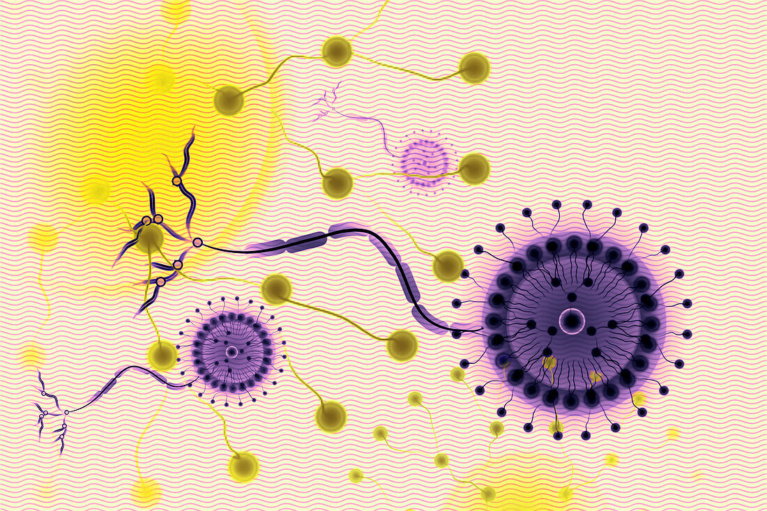 Artificial neurons, conceptual illustration