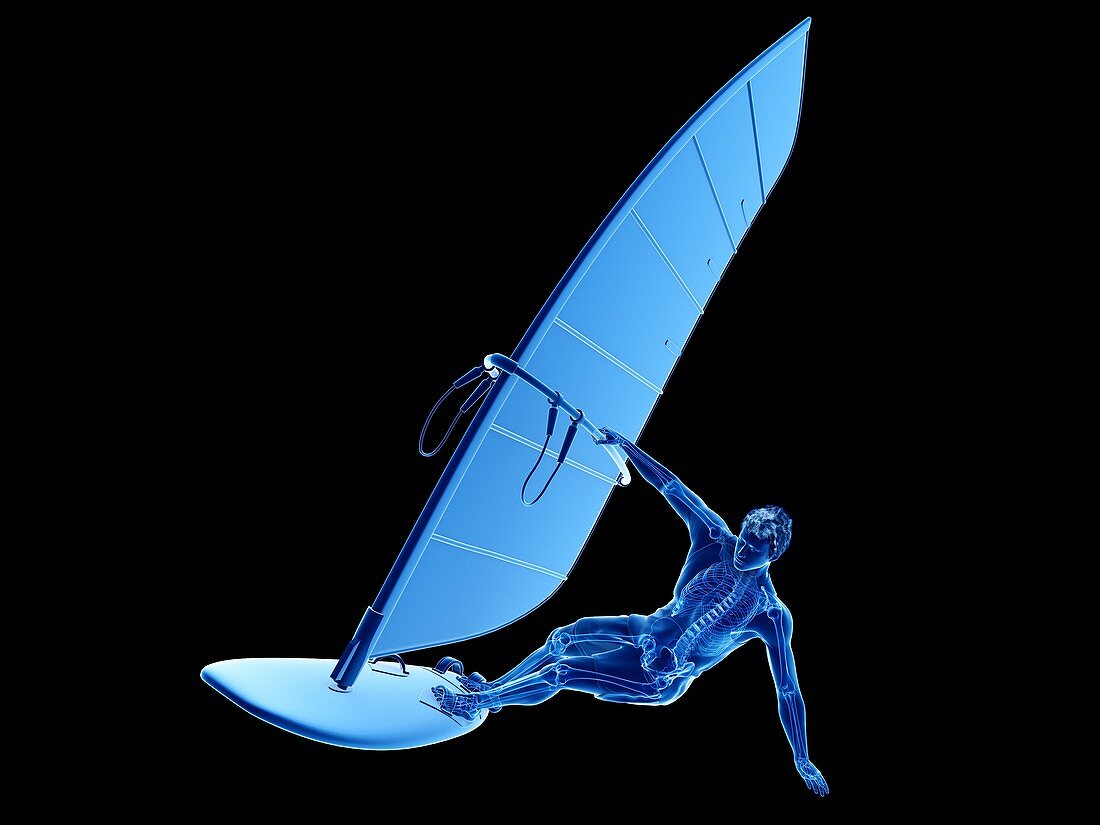 Windsurfer's skeleton, illustration