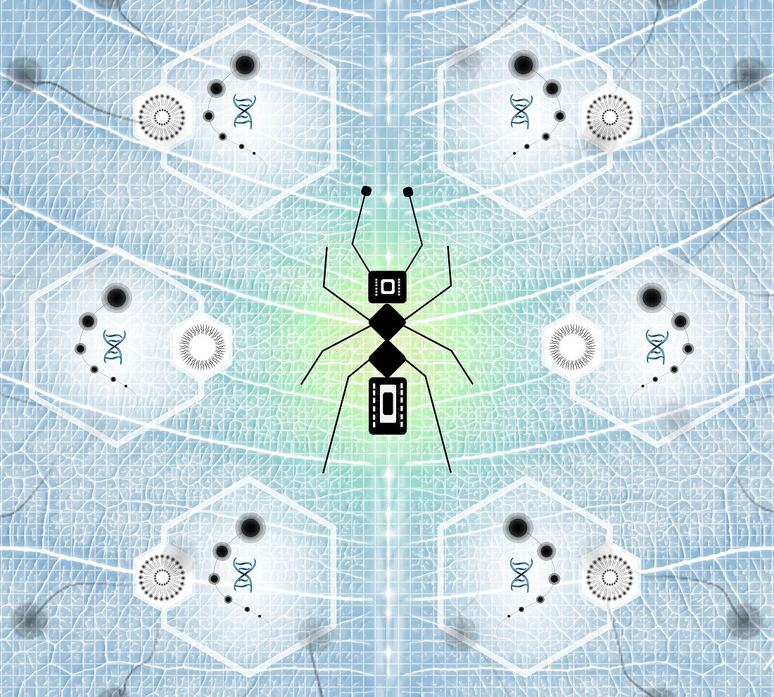 Bionanorobots, conceptual illustration
