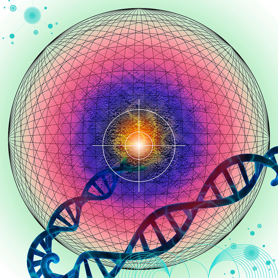Targeted gene therapy, conceptual illustration