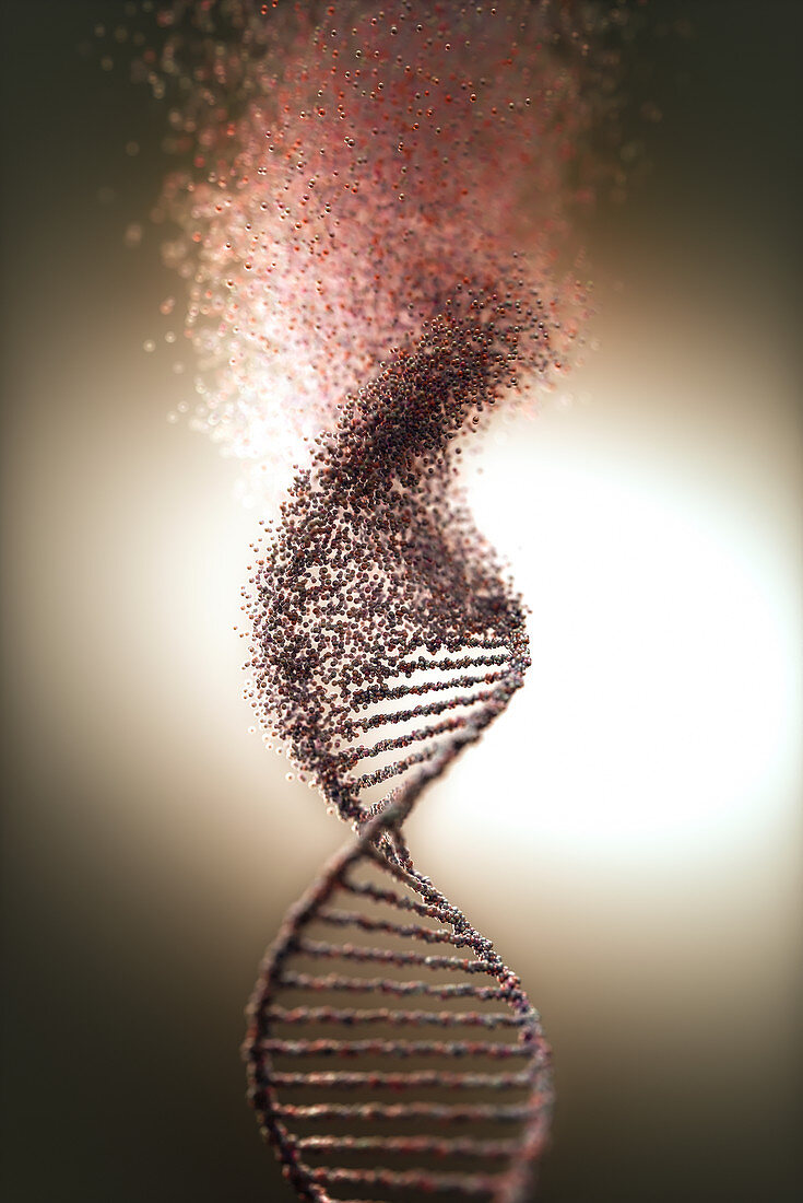 DNA damage, illustration