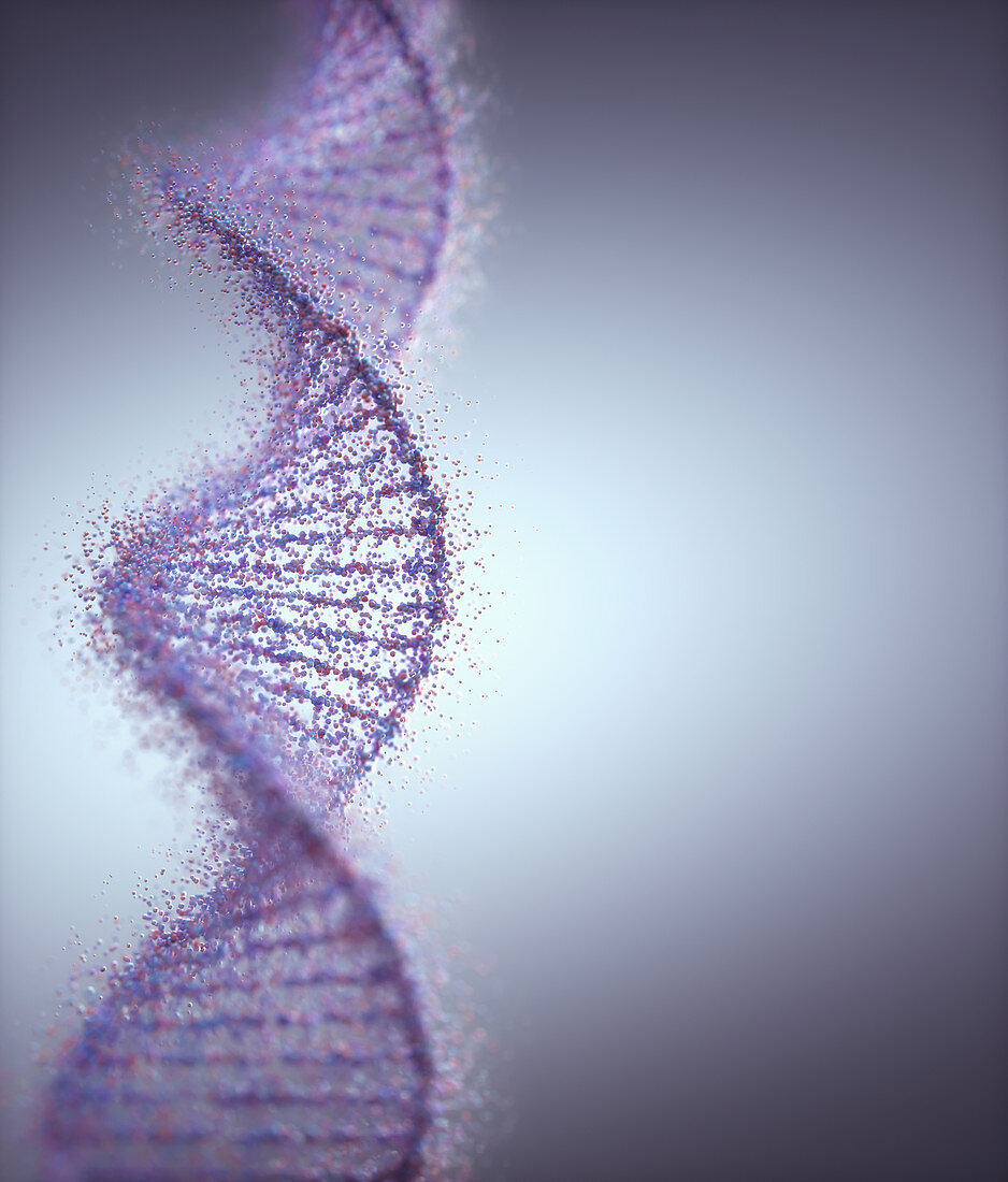 DNA damage, illustration