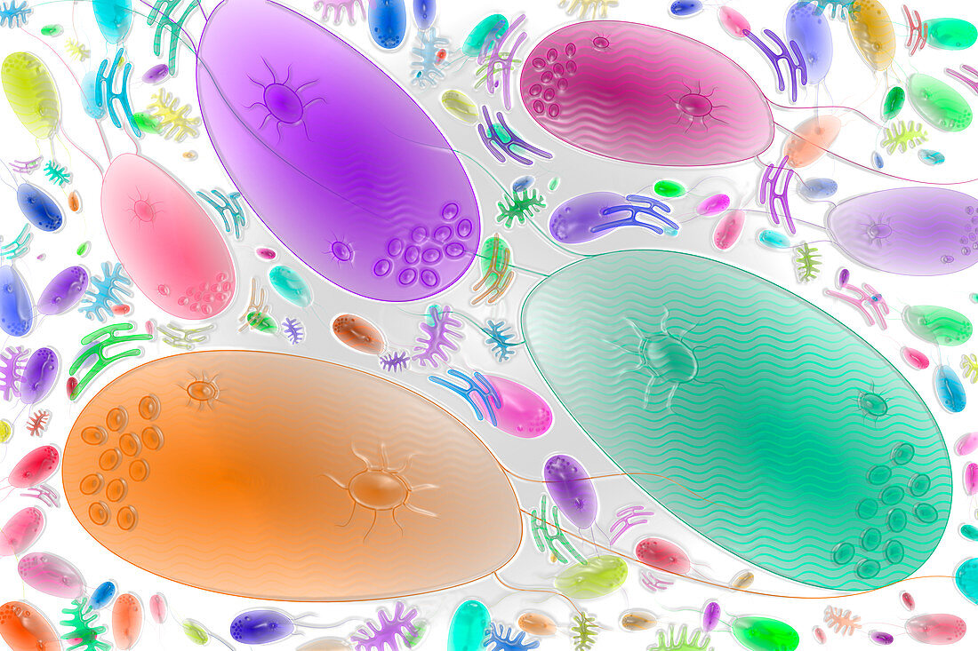 Synthetic biology, conceptual illustration