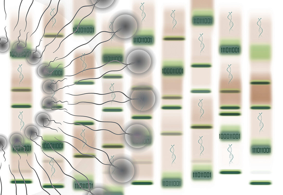 Bioinformatics, conceptual illustration