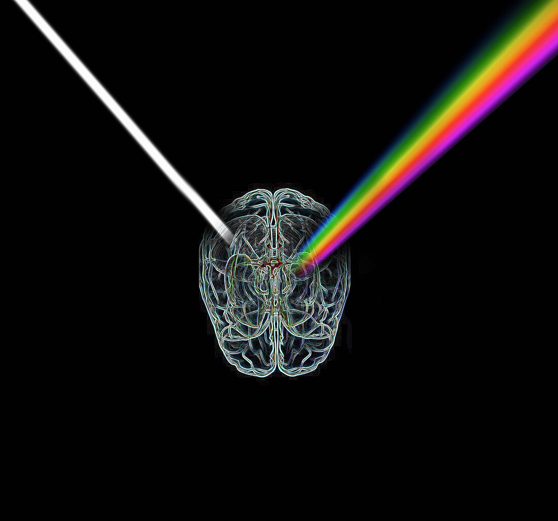Brain refracting light,illustration