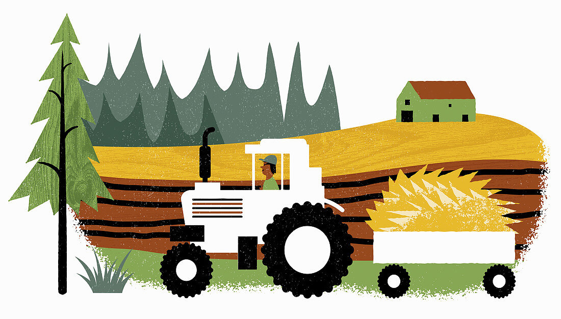 Farmer driving tractor with trailer,illustration