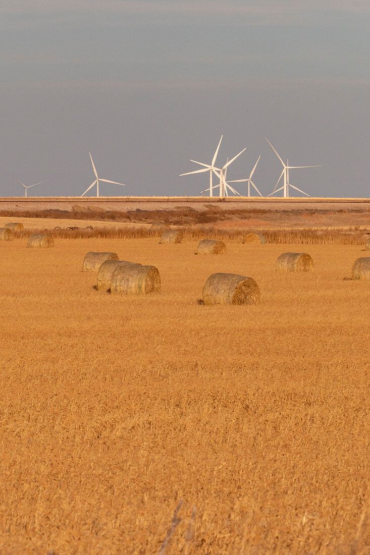 Windfarm,Colorado,USA