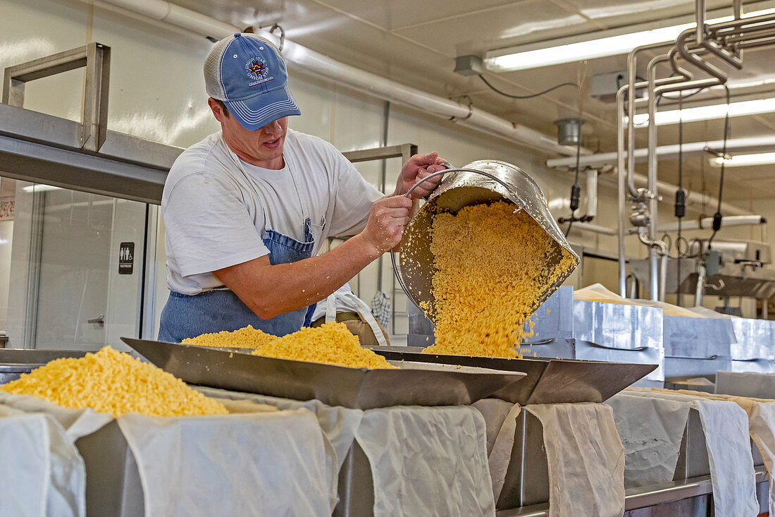 Cheese factory, Wisconsin, USA