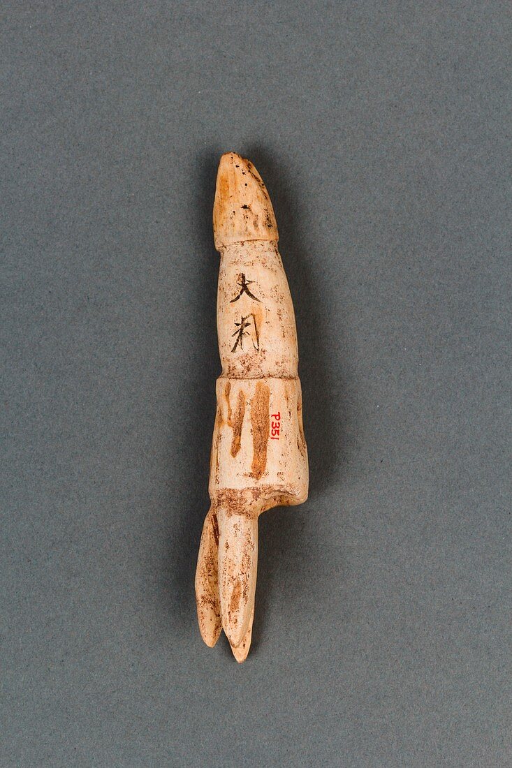 Toggle harpoon from Japanese prehistory