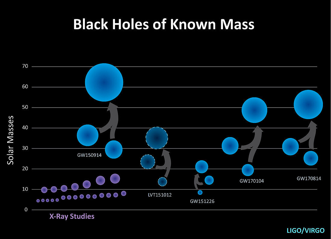 Observed black holes,illustration