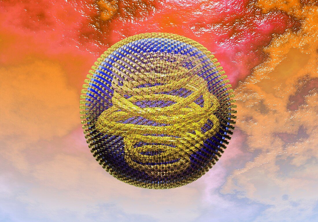 Measles virus,illustration