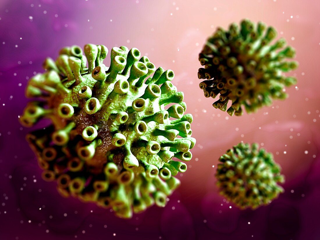 Coronavirus particles,illustration