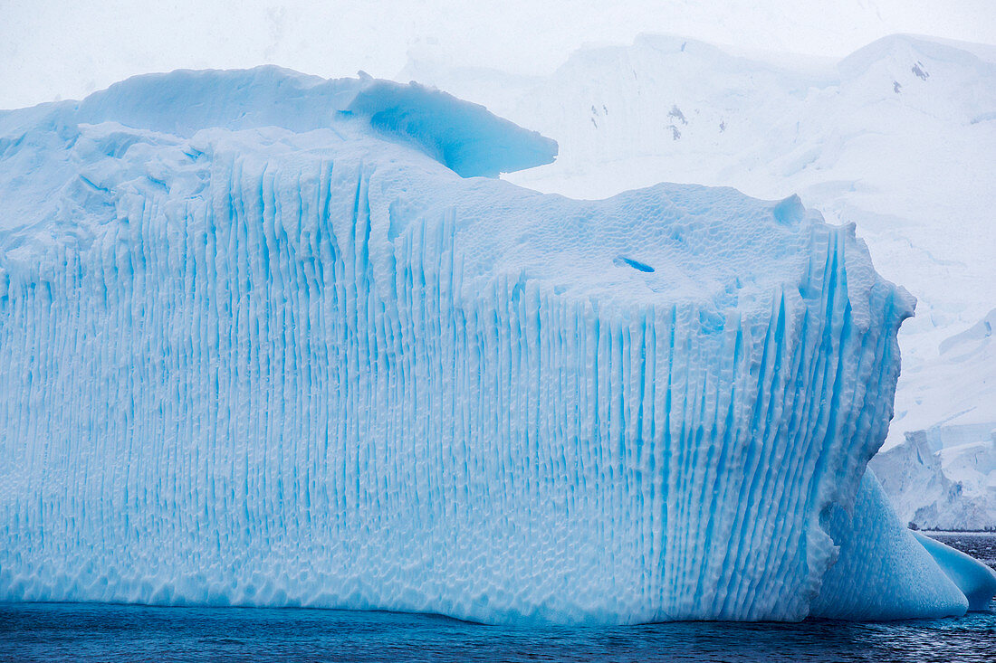 Icebergs off Anvers Island,Antarctica