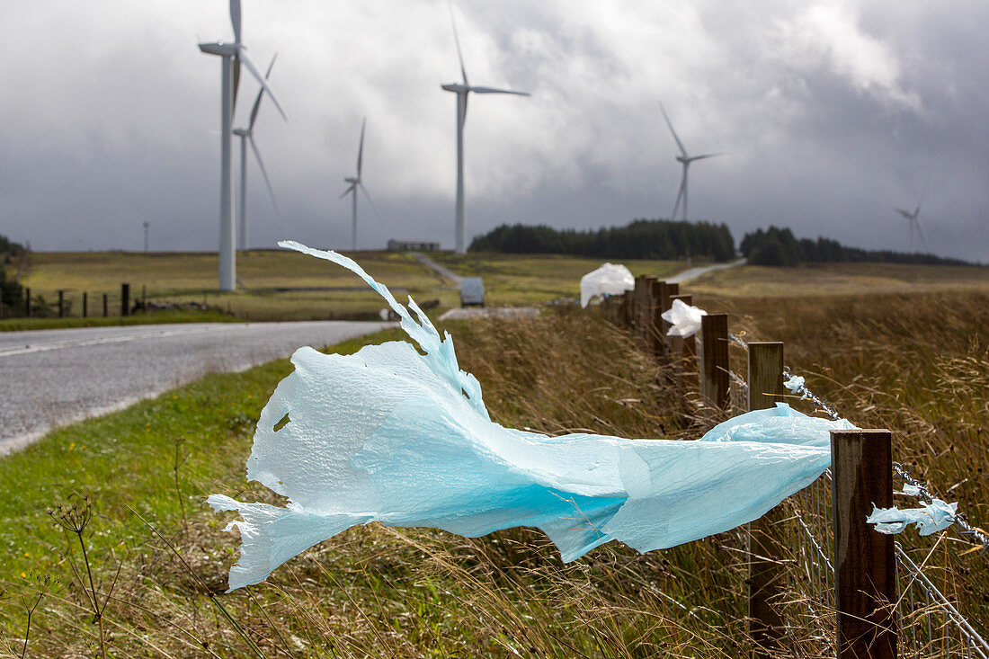 Plastic rubbish caught on fence