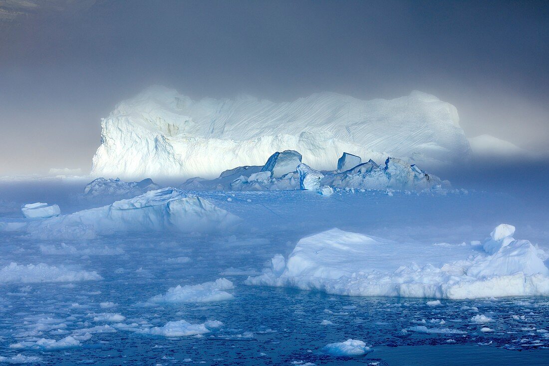Icebergs filling Nordvestfjord,Greenland