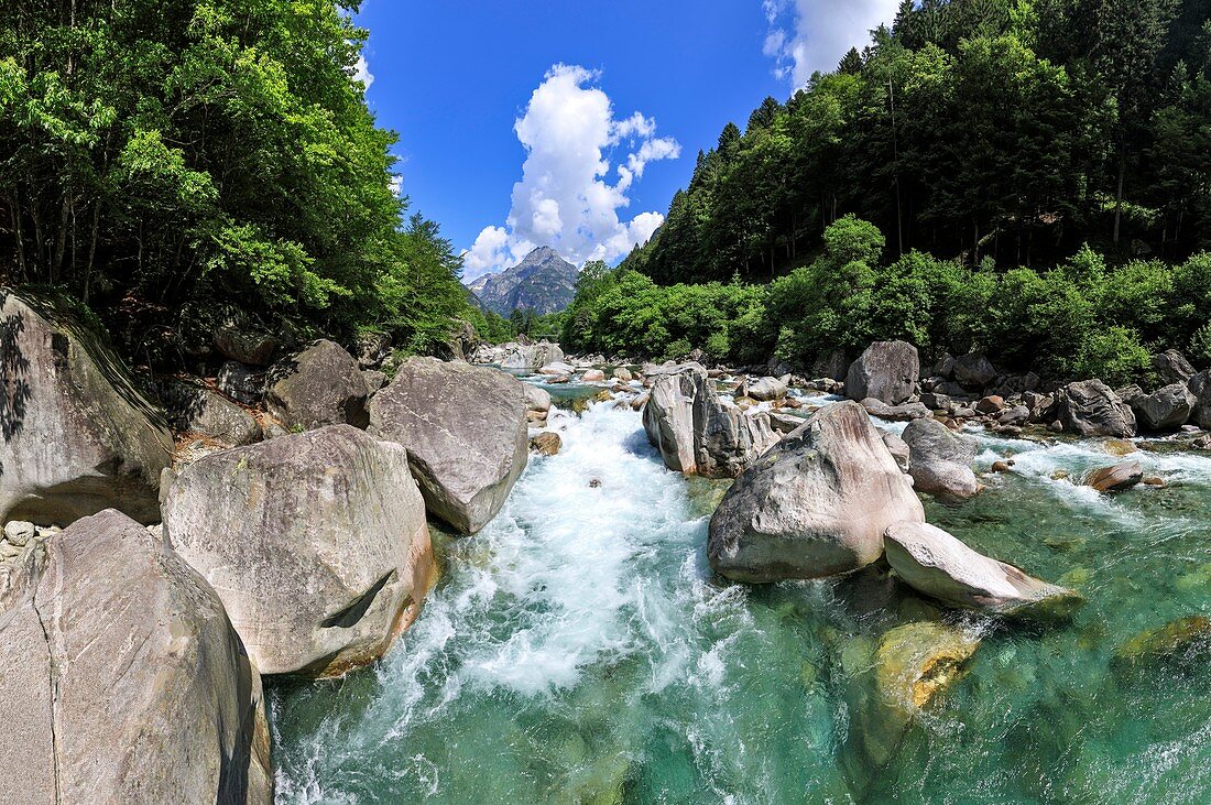 Mountain torrent in the Swiss Alps