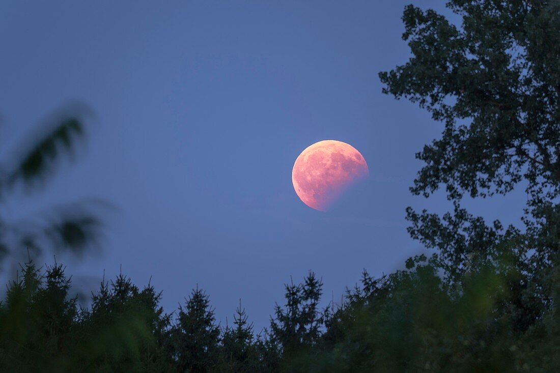 Blood moon during partial lunar eclipse,Germany