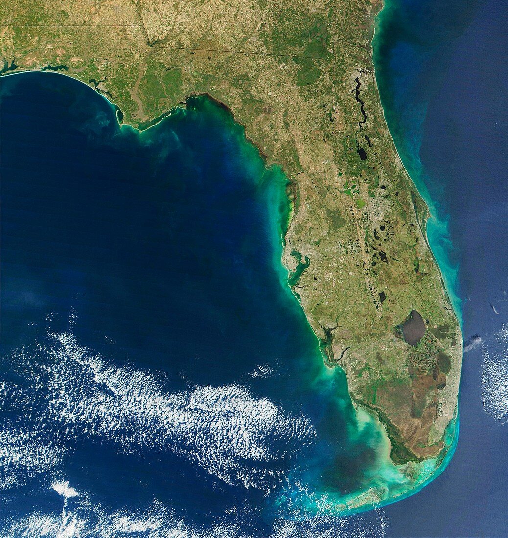 Red tide algal bloom along the Florida coastline