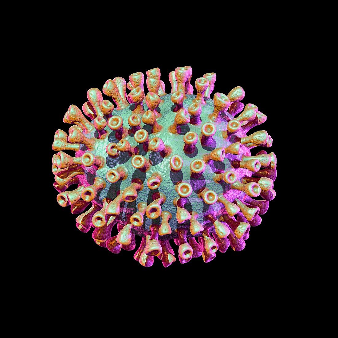 Coronavirus particle,illustration