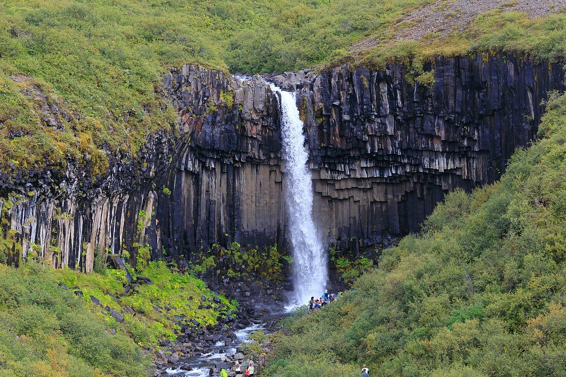 Waterfall and basalt columns