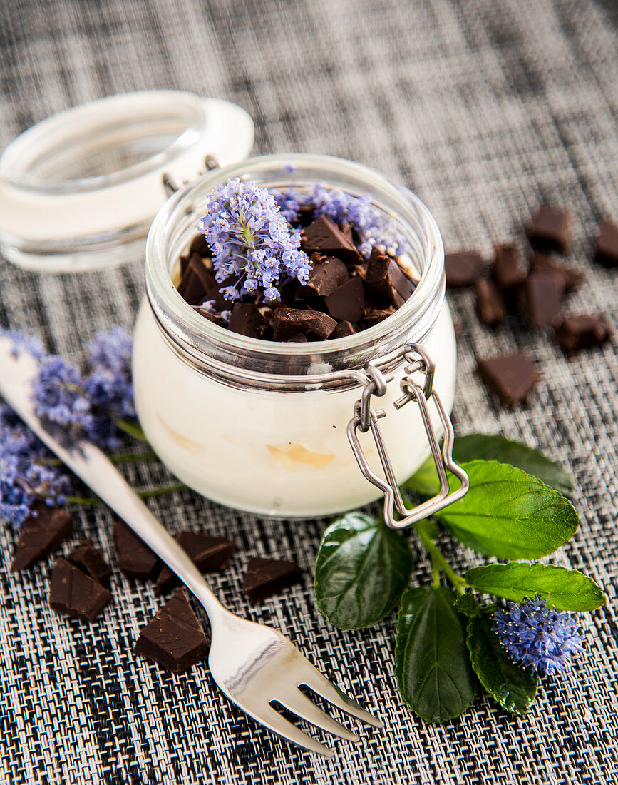 Healthy yogurt with dark chocolate