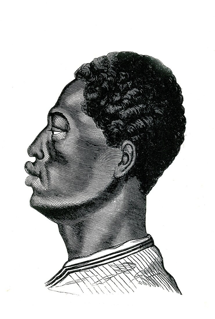 Ethiopian man,19th Century illustration