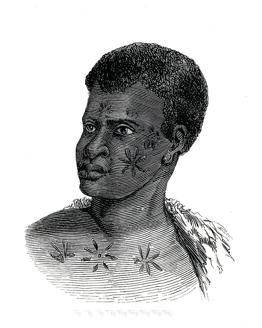 Mozambique man,19th Century illustration