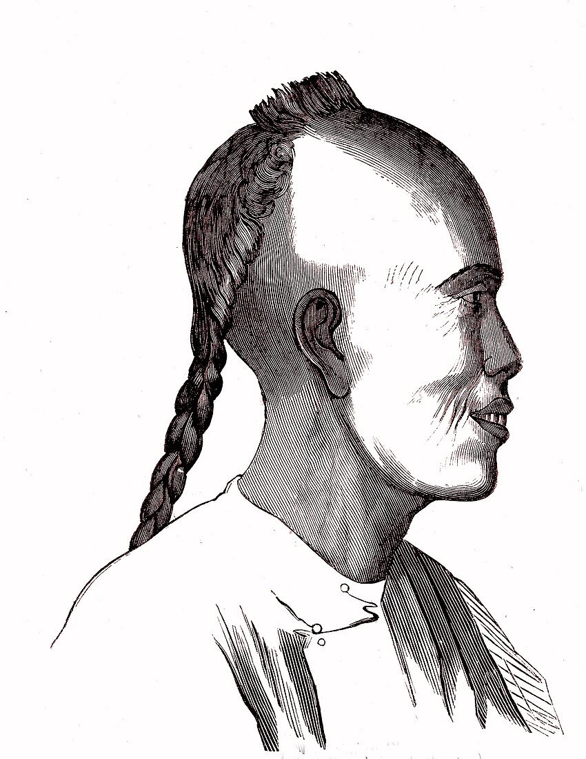 Maluku Islands man,19th Century illustration