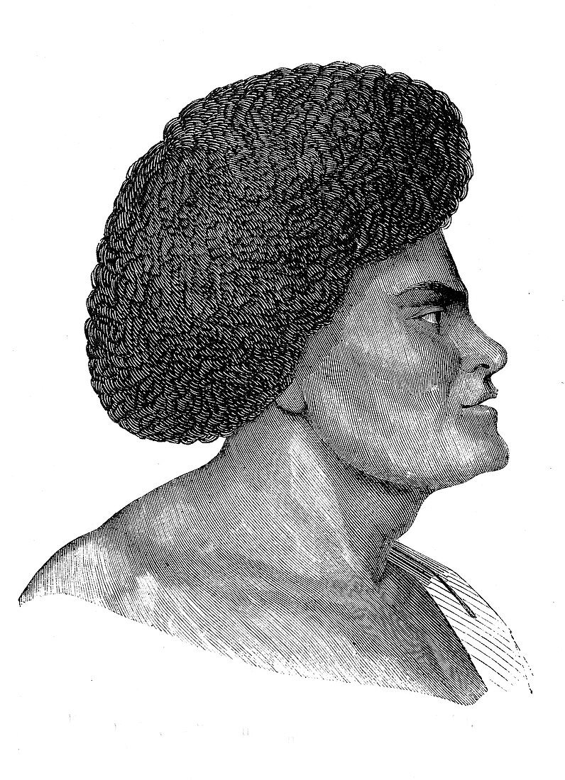 New Guinean man,19th Century illustration