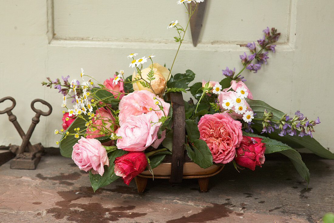 Roses, chamomile, salvias and hosta leaves in Sussex trug