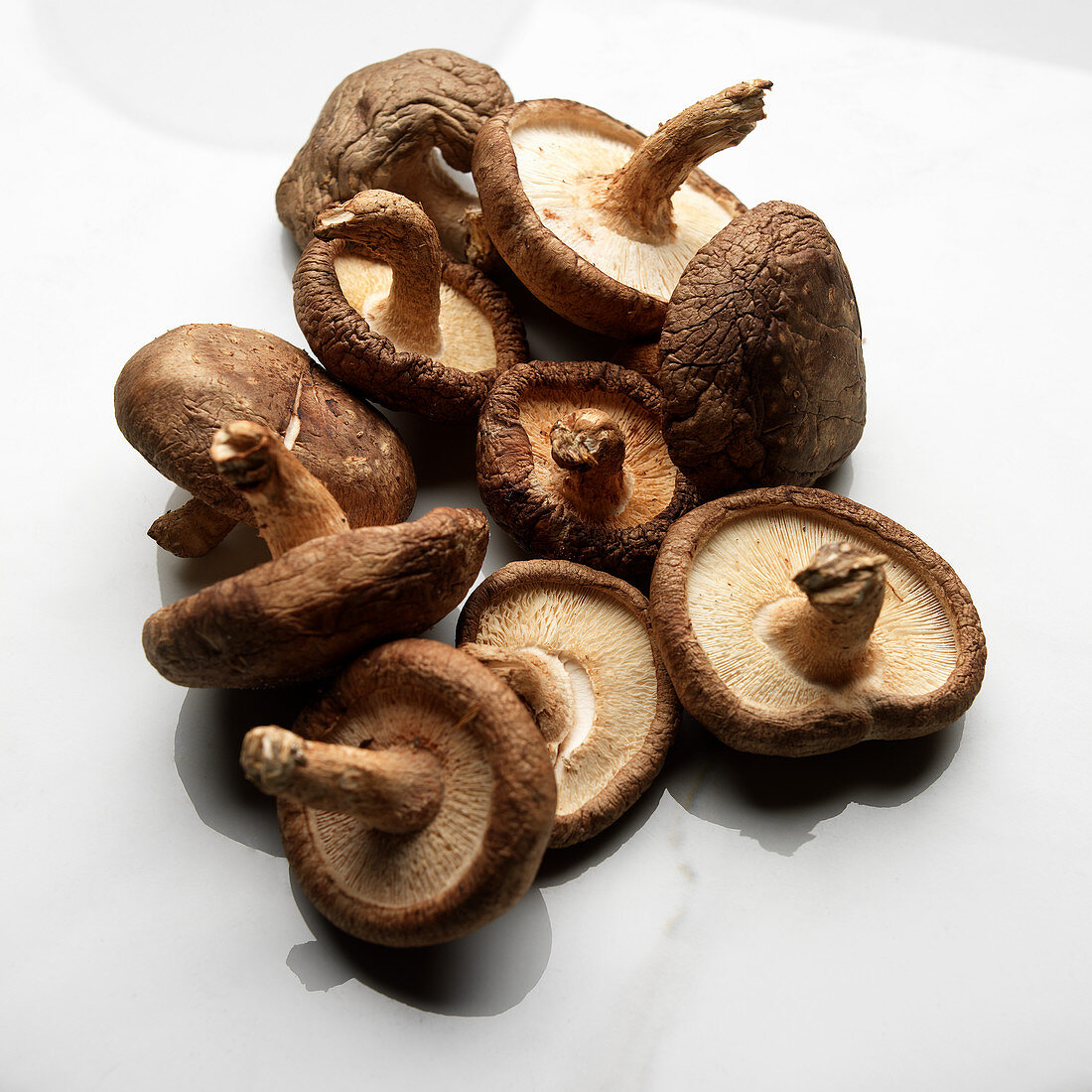 Shiitaki mushrooms on white marble